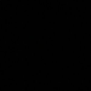 Meet your Posher, Jaquell